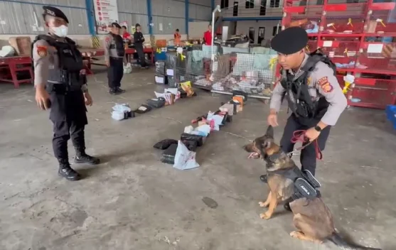 Polda Kaltim dan Bea Cukai Bekuk Pengedar Ganja lewat Control Delivery