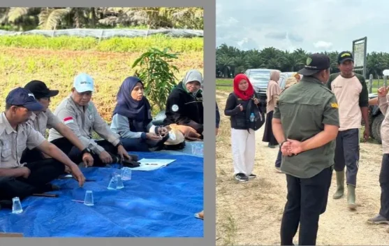 Perkuat PM-AAS, BRMP Kaltim Tinjau Kesiapan Lahan di Penajam Paser Utara