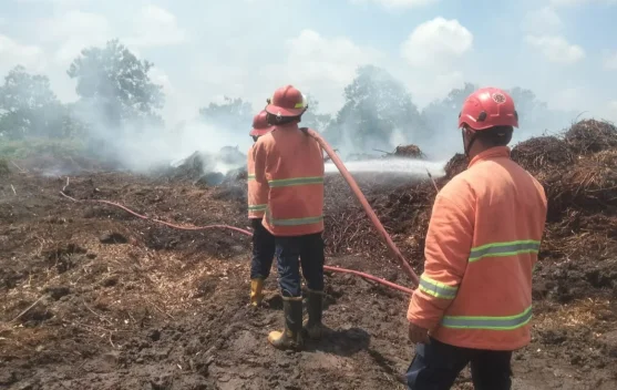 Kebakaran Lahan Gambut di Petung Capai 1,5 Hektare