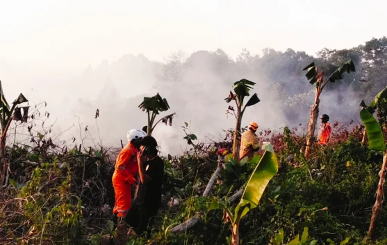 Kebakaran Lahan Dua Hektare Terjadi di Balikpapan Utara
