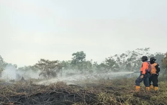 Kemenkes Catat 10,6 Juta Penduduk Terdampak Karhutla