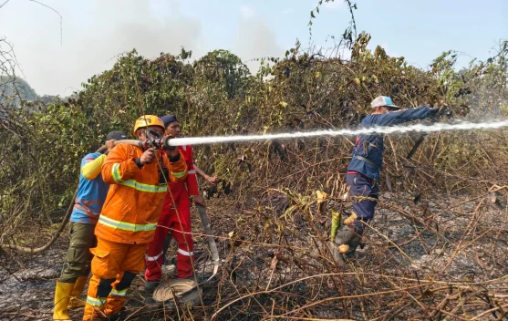 Karhutla 3 Hektare di Mangkurawang Tenggarong Berhasil Dipadamkan