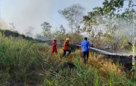 Kebakaran Lahan Dua Hektare Terjadi di Balikpapan Timur