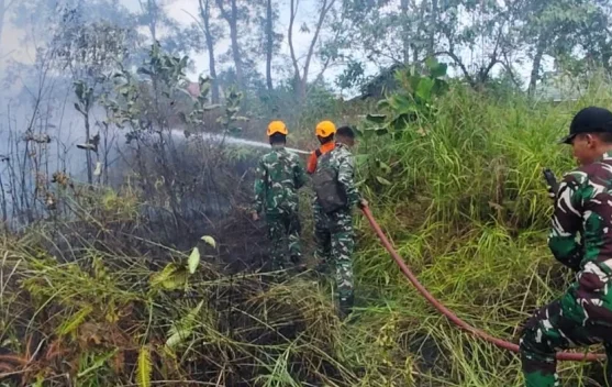 Api Lahap Dua Hektare Lahan di Balikpapan Selatan