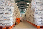 Stok Beras Kaltim Dipastikan Aman hingga Akhir Tahun
