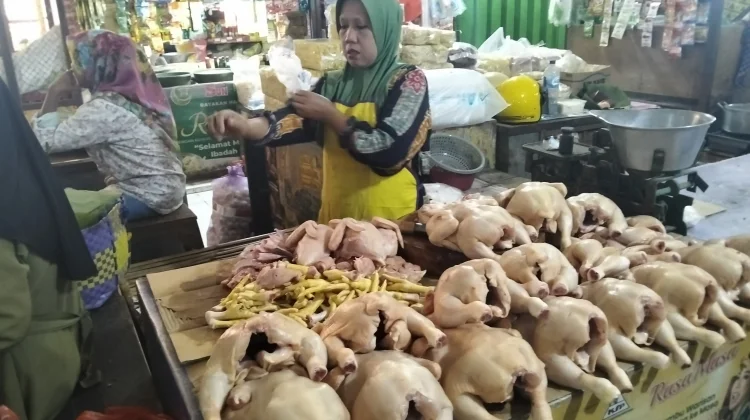 Awal Ramadan, Harga Daging Ayam di Sampang Naik
