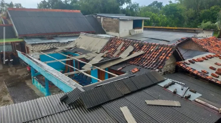 Cuaca Ekstrem di Pamekasan, Pohon Tumbang dan Rumah Warga Rusak