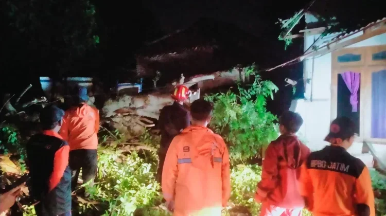 Puluhan Pohon Tumbang akibat Cuaca Esktrem di Sampang