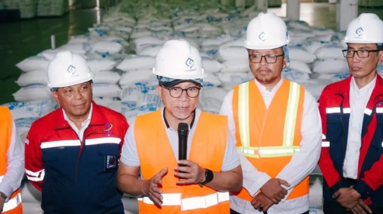 Pemerintah Indonesi Target 2027 Stop Impor Garam