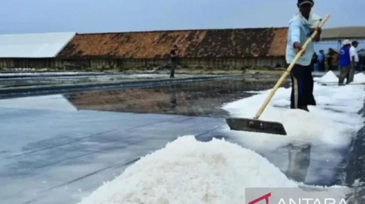Wabup Sampang Dorong Penguatan Industri Garam Nasional