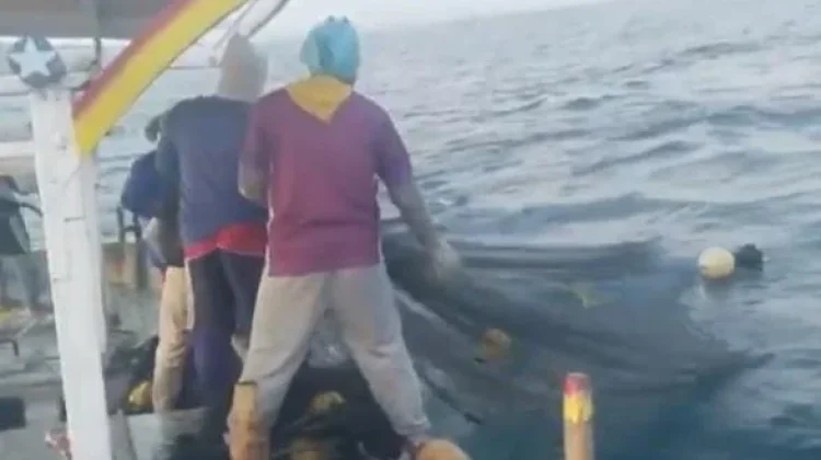 Nilai Tukar Nelayan Bangkalan Naik, Tantangan Masih Berat