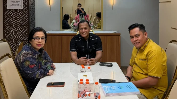 Tingkatan Layanan Kesehatan, Pemkab Pamekasan Minta Dukungan DPR RI