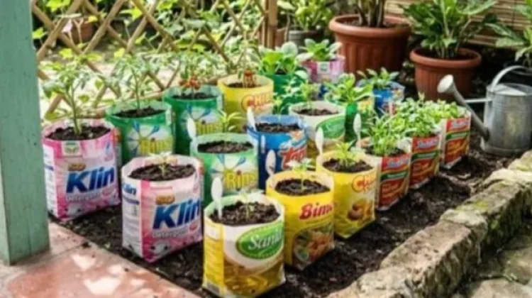 Manfaatkan Sampah Plastik dan Barang Bekas untuk Media Berkebun