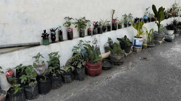 Manfaatkan Sampah Plastik dan Barang Bekas untuk Media Berkebun