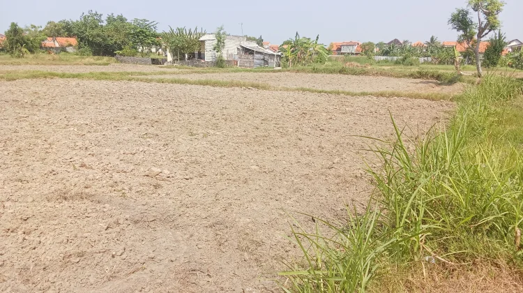 Bayang-bayang Fenomena El Nino, Kekeringan akan melanda Sampang