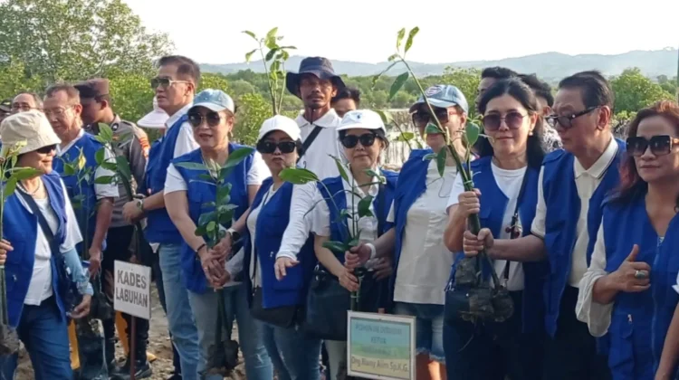 Sebanyak 10.000 Bibit Mangrove Hijaukan Pesisir Pantai Labuhan Bangkalan