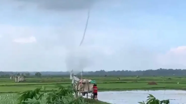 Angin Puting Beliung Sapu Persawahan di Bangkalan, Tak ada Korban
