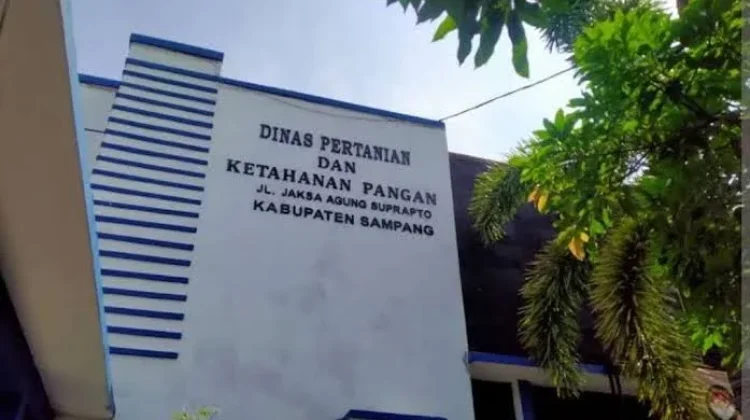 Target Halal Terancam Gagal, RPU Sampang Membandel