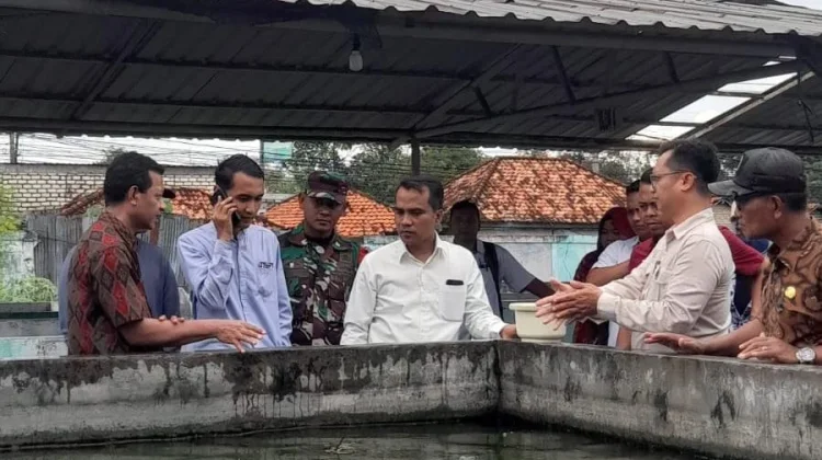 Penguatan Sektor Perikanan, Bupati Tinjau Balai Benih Ikan