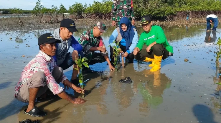KPMM Tanam Ratusan Bibit Mangrove Sebagai Mitigasi Perubahan Iklim