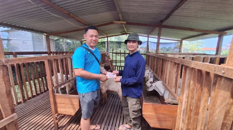 Irza: Dari Kampus ke Kandang, Merintis Ternak Kambing dengan KUR BRI