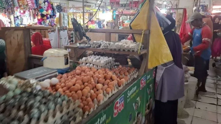 Harga Telur Ayam di Sampang Masih Aman, Bertahan Rp 26 Ribu
