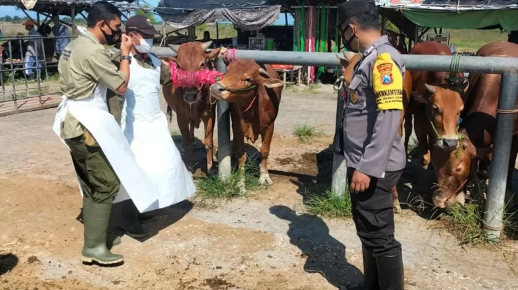 Pasar Hewan di Sampang Dipantau Ketat jelang Idul Adha