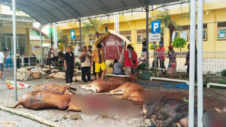 Masjid Agung Asy-Syahied Sampang Salurkan Daging Kurban ke Empat Kelurahan