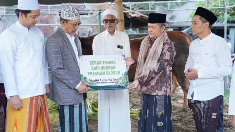 Bangkalan Terima Bantuan Sapi Kurban dari Presiden Prabowo Subianto