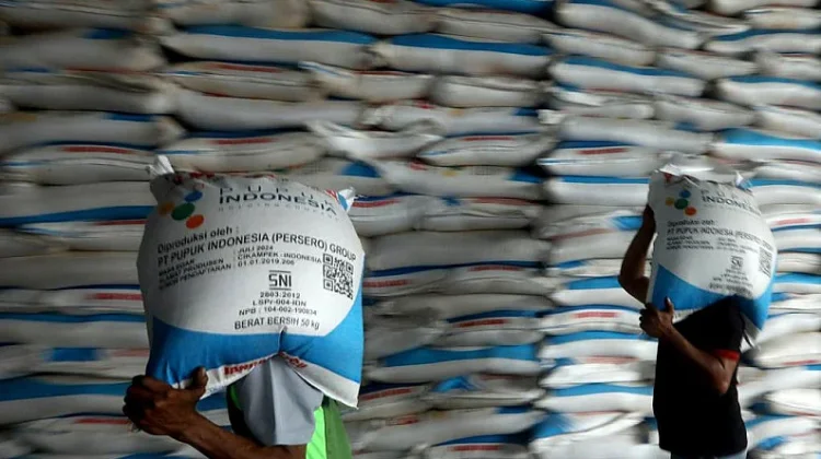 Pemkab Sampang Sampaikan Kriteria Penerima Pupuk Subsidi
