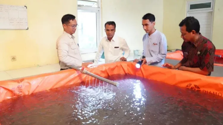Bangkalan Genjot Budidaya Lele demi Pasok Program Makan Bergizi Gratis