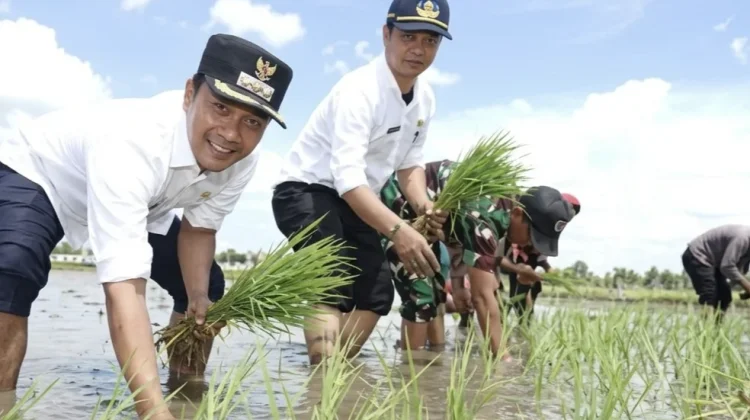 DP2KP Bangkalan Dorong KDKMP Jadi Input dan Etalase Output Pertanian Lokal