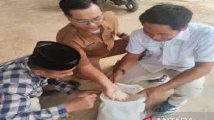 Penuhi Kuota Serapan Bulog, Bangkalan Dorong KDKMP Serap Beras Petani