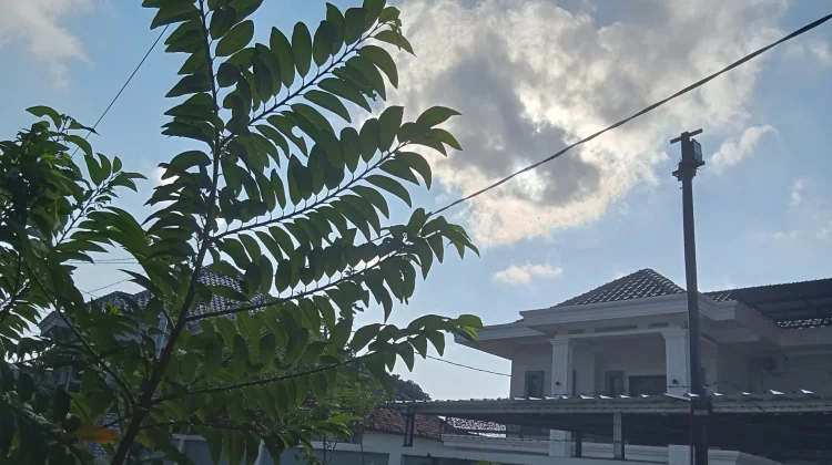 Cuaca Sampang Madura Didominasi Berawan hingga Cerah 2 Juli 2026