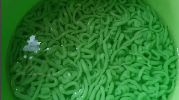 Cendol Dawet Minuman Segar saat Cuaca Panas