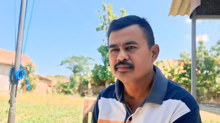 Petani Torjun Tanam 40 Ribu Batang Tembakau, Optimistis Panen Berkualitas