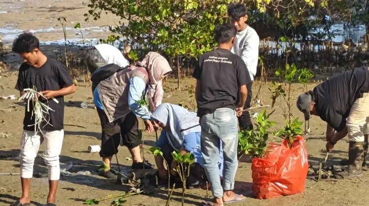 KPMM Lakukan Penyulaman Mangrove di Pamekasan