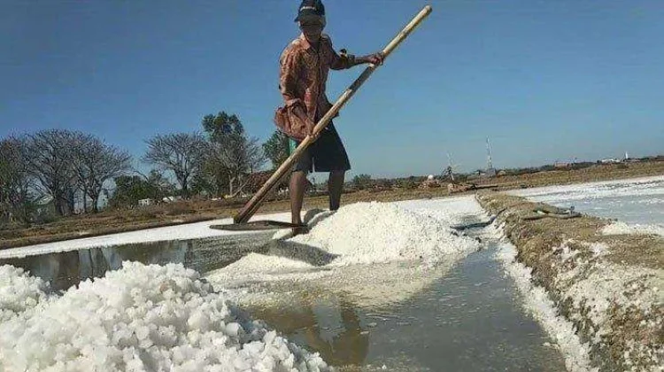 Produksi Garam Sampang Ditarget 325 Ribu Ton pada Tahun 2026