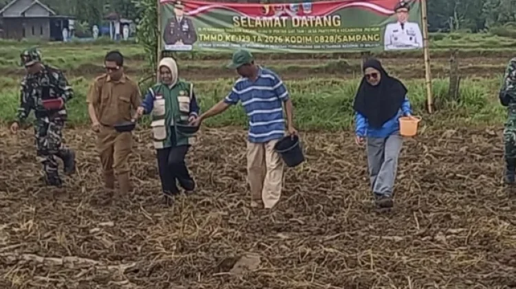 Wujudkan Ketahanan Pangan, TNI Tanam Kacang Hijau di Sampang