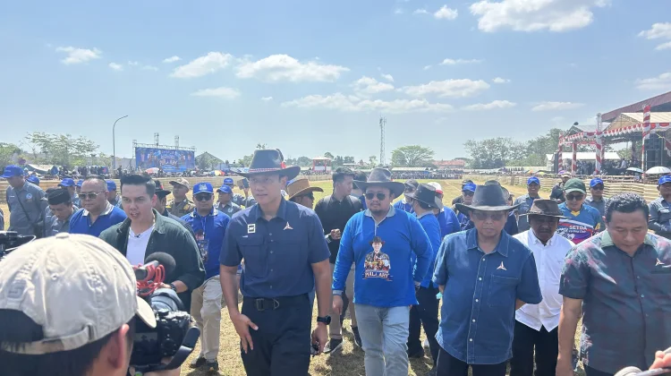 Karapan Sapi Piala AHY Berlangsung Meriah di Bangkalan