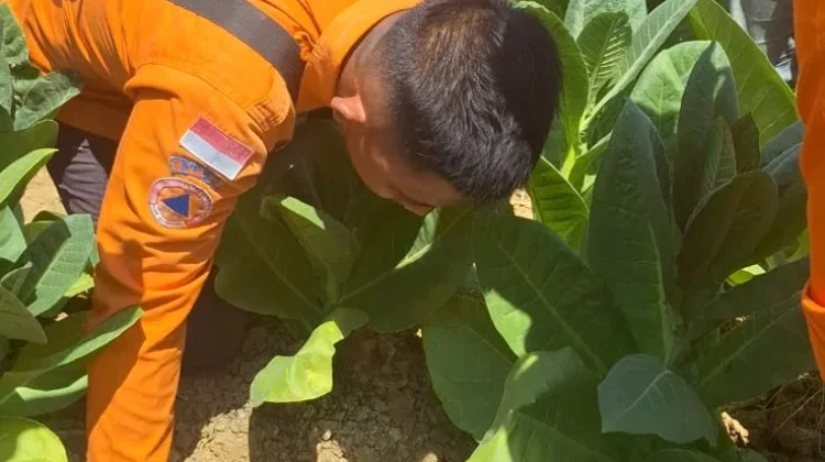 BPBD Sampang Telusuri Penyebab Gemuruh dari Sawah di Kedungdung