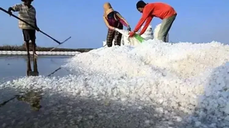 Harga Garam Sampang Anjlok, Hanya Rp30 Ribu per Sak
