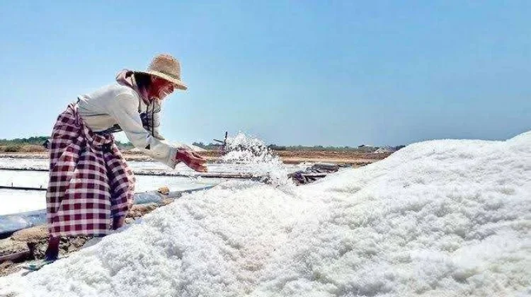 Produksi Garam Sampang Baru Capai 50 Ribu Ton dari Target 310 Ribu Ton