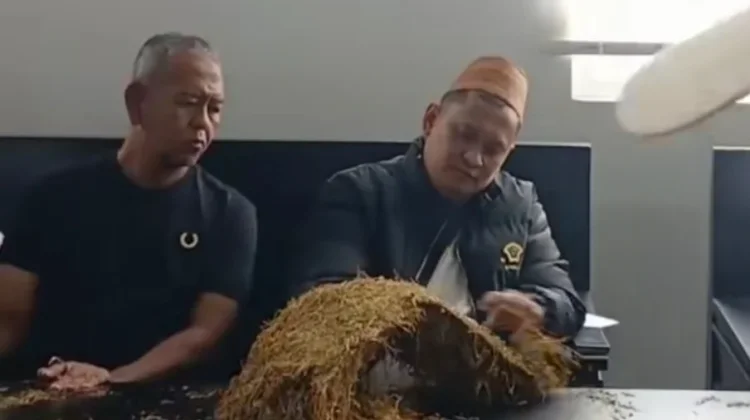 Haji Her Mulai Beli Tembakau Petani, Harga sesuai Kualitas
