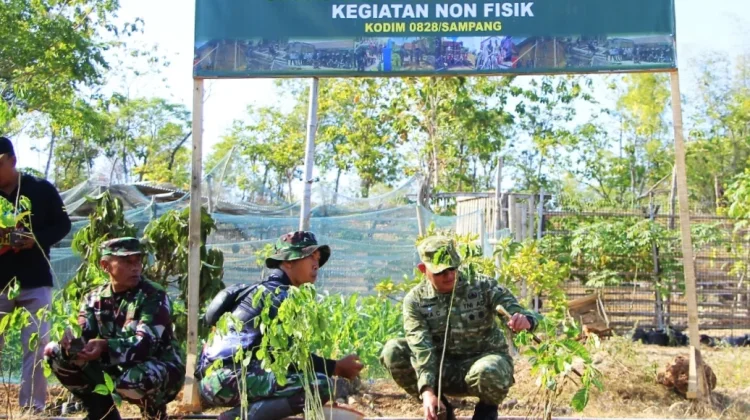 Bakti TNI AD, Kodim Sampang Tanam Pohon Keras di Gunung Maddah