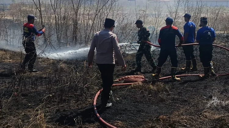 Kebakaran Lahan di Sampang Diduga akibat Puntung Rokok