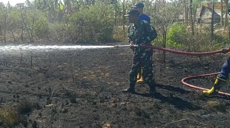 Puntung Rokok Diduga Picu Kebakaran Lahan PT Garam