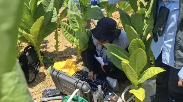 BPBD Sampang dan Dinas ESDM Jatim Cek Tanah Bergemuruh di Kedungdung