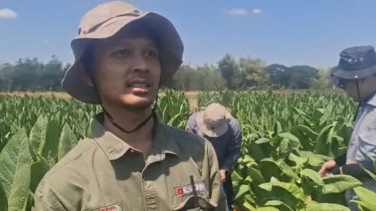 Soal Tanah Bergemuruh di Sampang, Ini Imbau Dinas ESDM Jatim