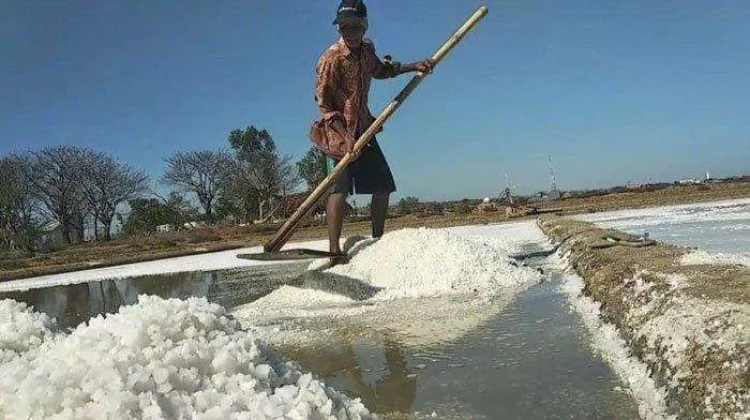 Sampang Miliki Potensi Besar Jadi Sentra Garam Jawa Timur